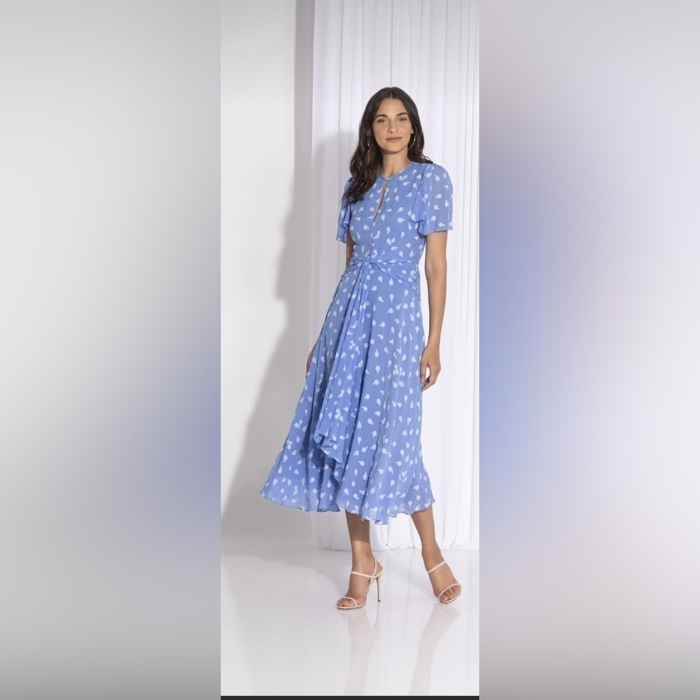 NWOT Alita
Embroidered Floral Midi Dress Blue
Twist Draped Hem
